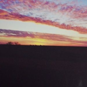 Meet your Posher, Jamine